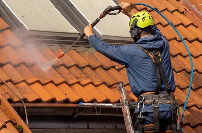 Démoussage et hydrofuge de toiture au Mérévillois